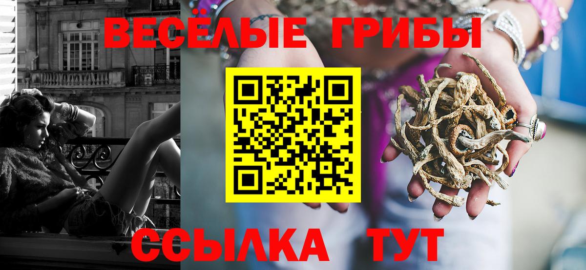 Псилоцибиновые грибы GOLDEN TEACHER  Вход с VPN  Павловский Посад 