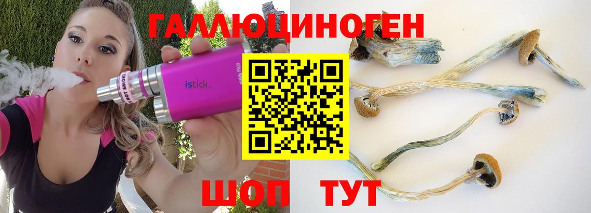 Псилоцибиновые грибы Magic Shrooms Павловский Посад